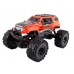1/10 SCALE 4WD CRAWLER 2.4GHz READY TO RUN - DF-MODELS